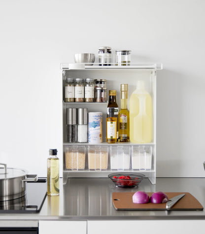 Concealable Spice Rack - Steel