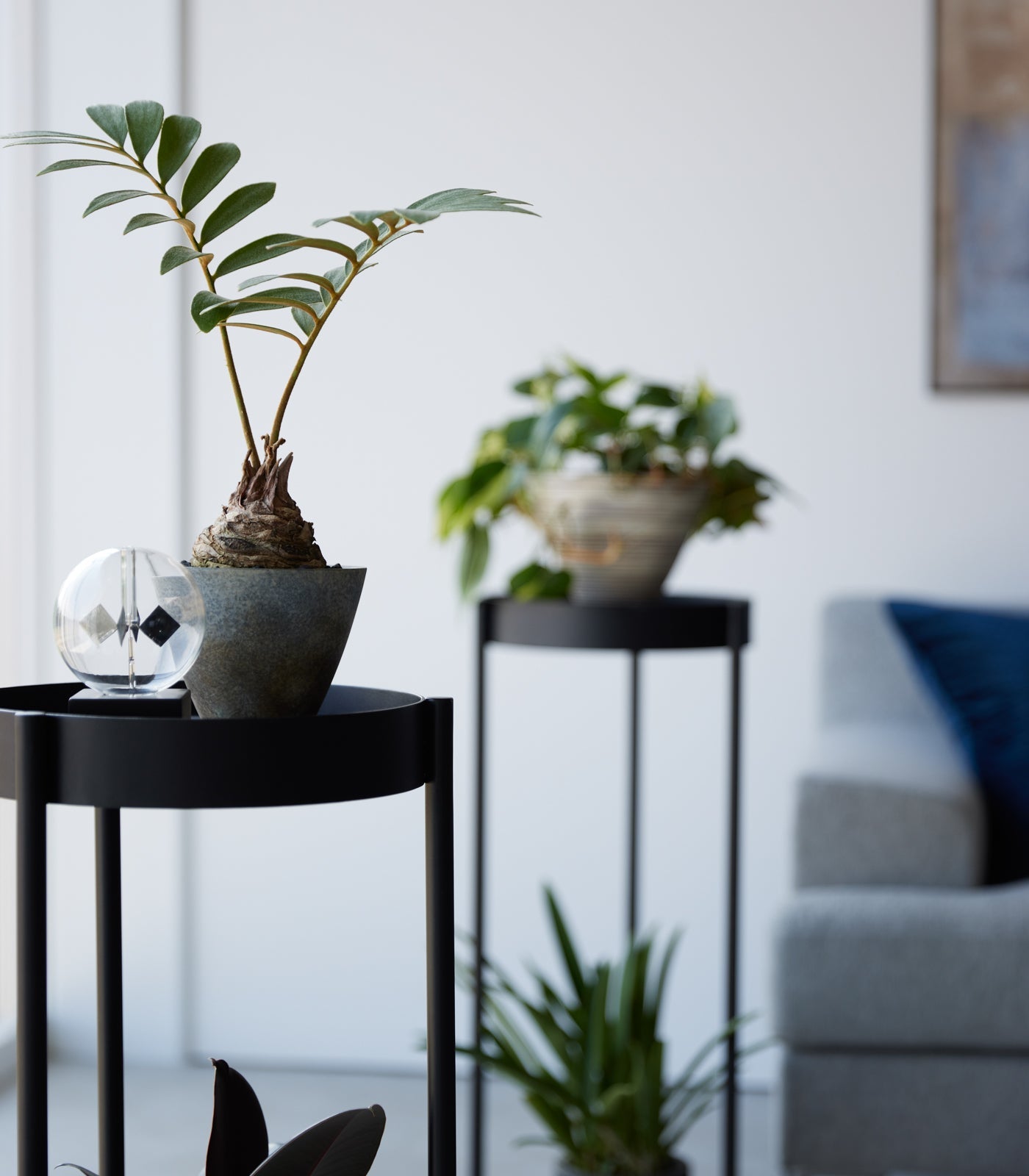 Two-Tier Rolling Plant Stand (28 H)  - Steel