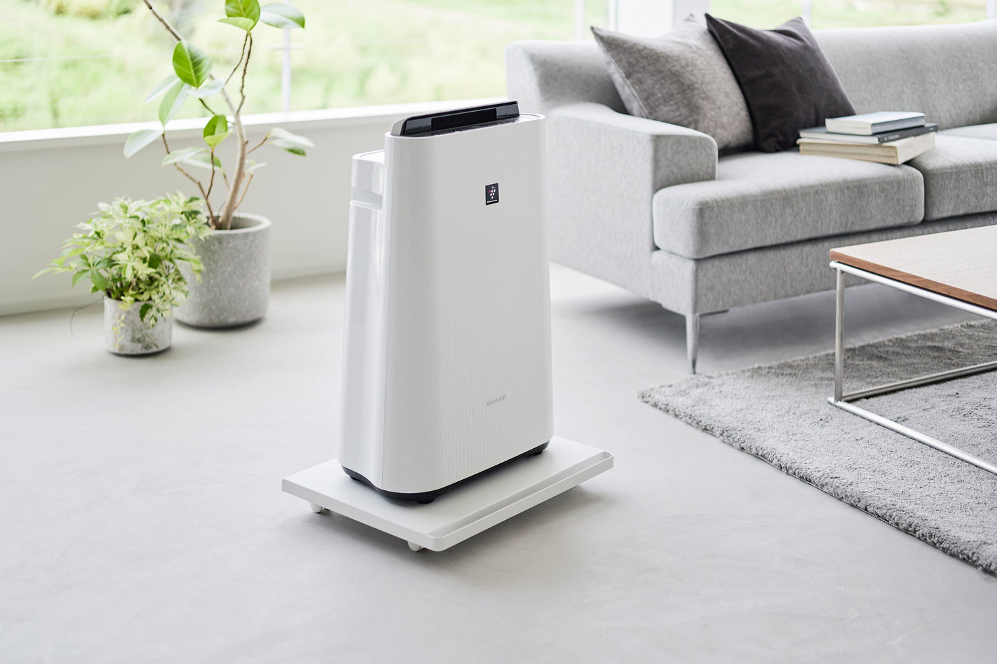 Rolling Caddy (2 H)  - Steel