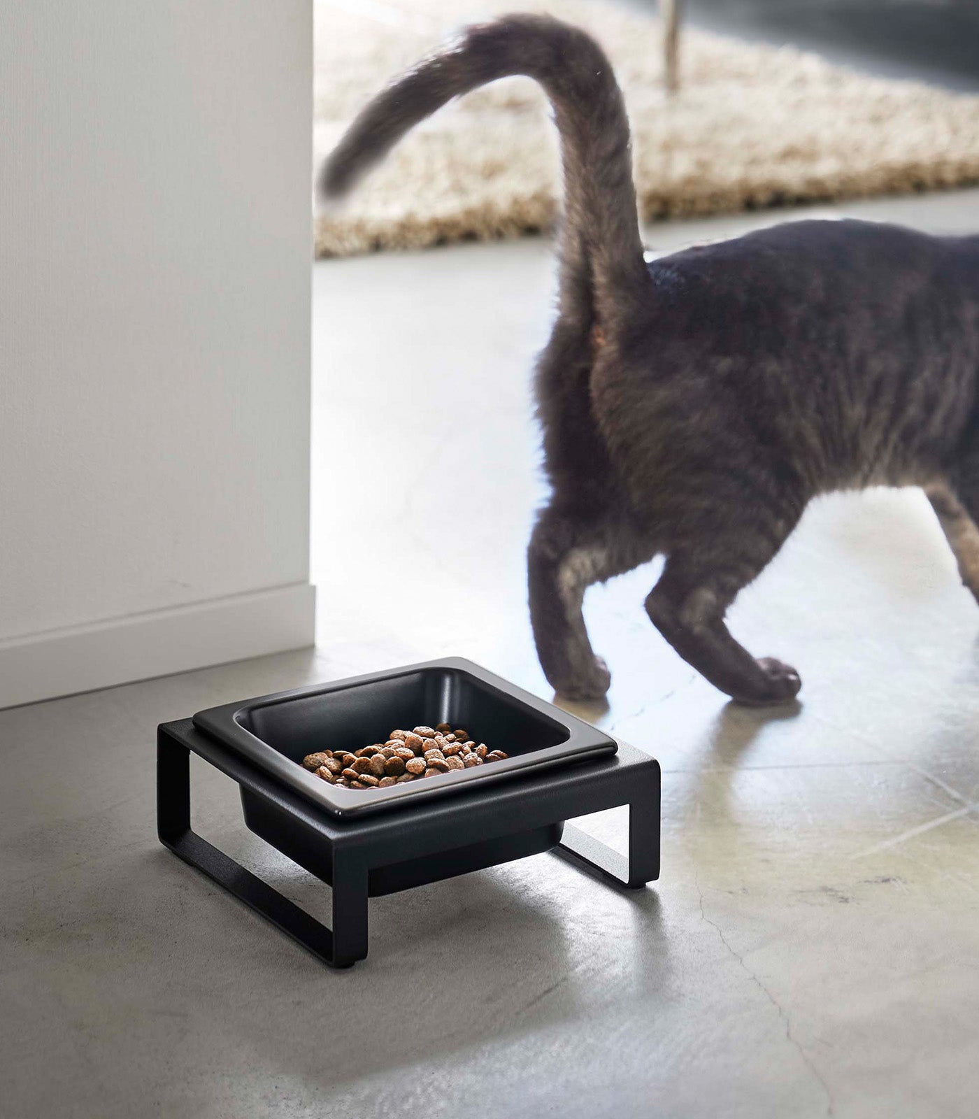 Single Pet Food Bowl - Steel + Ceramic
